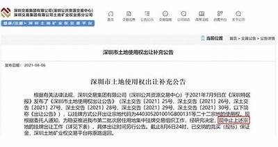 杭州湾房价跳楼 公司董事长6000平捡漏 2000万投资者炸锅【SEO】